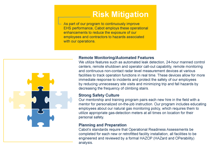 COG_Risk